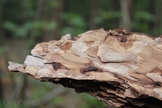 Mijn eerste echte&nbsp;fototoestel